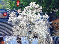 -常熟方塔园