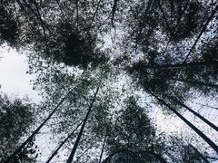 -艾型动健身游泳(环宇城店)