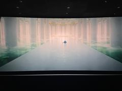-深影国际影城(学院南路店CGS中国巨幕店)