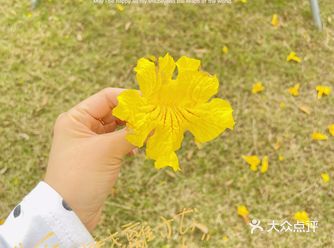 感觉是市中心的一块小仙境，公园环境还是非常可的