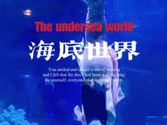 -重庆欢乐海底世界