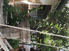 -喵屿·大理花园猫咖