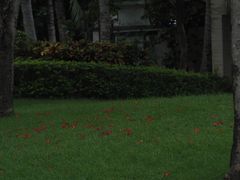 -海南清水湾莱佛士酒店