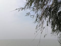 -巴陵广场