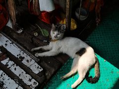 -峄山风景名胜区