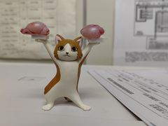 -纳吉亚猫专科动物诊疗中心(蒋宅口分院)