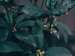 -春庄咖啡SpringHues(钟楼小区店)
