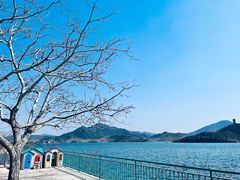 -望湖烤鱼