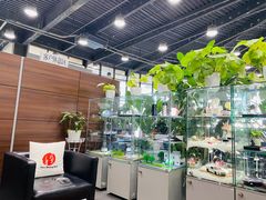 -北京之星奔驰4S店(亦庄店)