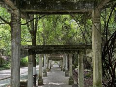 -黔灵山公园