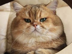 -上海市中医医院(芷江路院区)