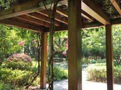 -徐家汇源景区-衡山公园