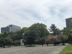 -名古屋城