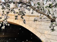 -海棠花溪(元大都城垣遗址公园)