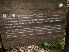 -牛背梁国家森林公园