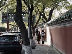 -北京国子监胡同