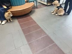 -联合动物医院(光谷诊疗中心)