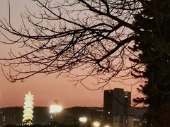 -市中心风采楼步行街