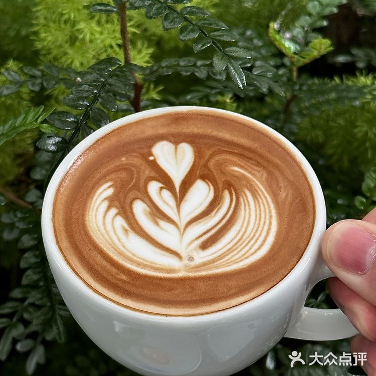 十几个朋友推荐的小众咖啡，果然没让我失望……