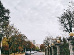 -上海财经大学(国定路校区)