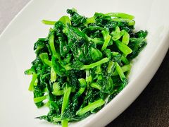 清炒豆苗-荣府宴(南阳路店)