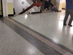 -山东省立医院(中心院区)