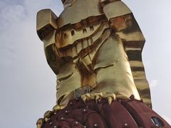 -大金鹰园