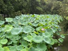 -成都杜甫草堂博物馆