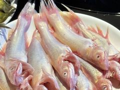 -石锅苗苗鱼(武汉首店)