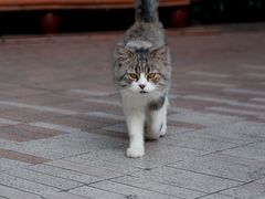 -晓港公园