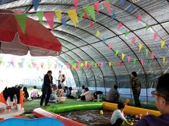 -田趣农庄草莓采摘园