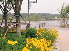-东郊湿地公园