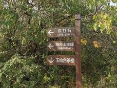 -阳台山自然风景区