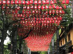 -亭林园-华藏寺