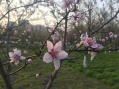 -白塘生态植物园