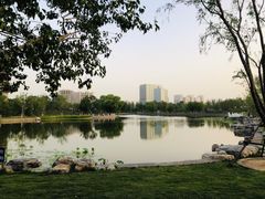 -西海子公园