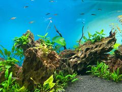 -太平洋海底世界