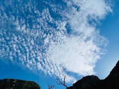 -幽岚山·童话森林