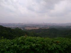 android_upload_pic-火炉山森林公园