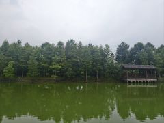 -上海长兴岛郊野公园