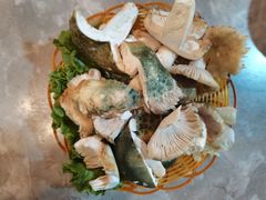 -易门野生菌府·菌海森林(月牙潭公园店)