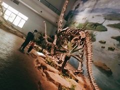 -自贡恐龙博物馆