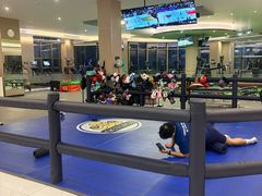 -章鱼健身 Octopus