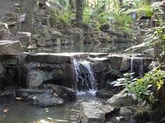 -兴福老面馆(寺路街店)