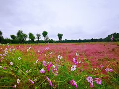 -汉长安城未央宫国家考古遗址公园