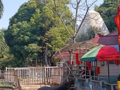 -南宁市动物园