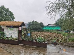 -元鼎宝驴香·全驴宴(江宁店)