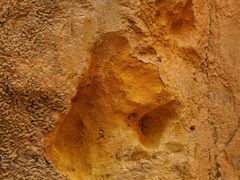 -彩色沙林风景区