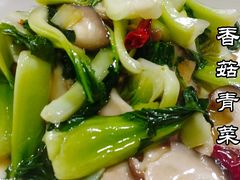 -美食佳菜豆腐鱼庄