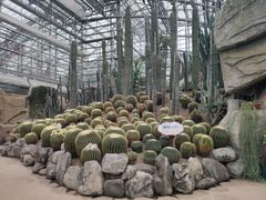 -南山植物园